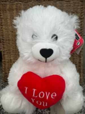 TEDDY BEAR DELIVERED BIRMINGHAM